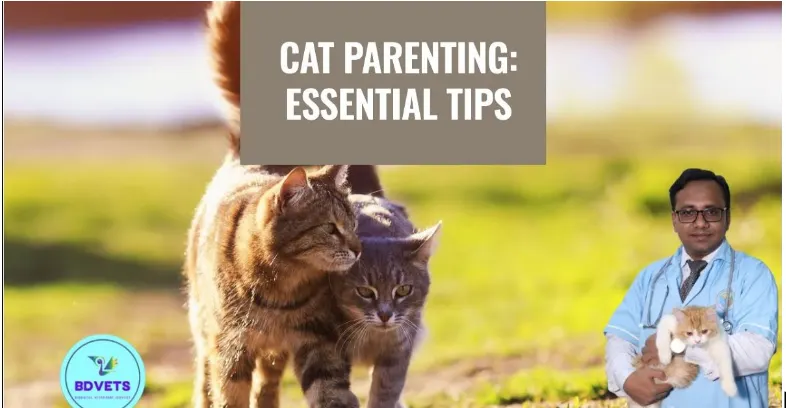 cat parenting guide