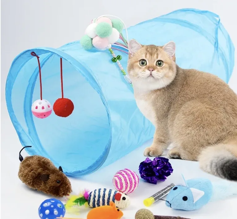 cat playing time toys