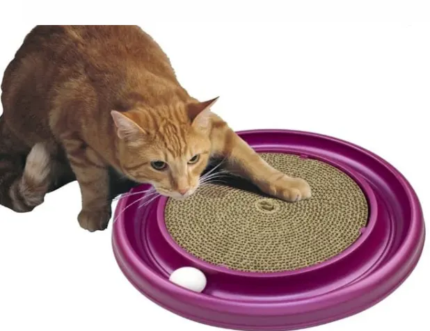 Best cat toys cat scratching