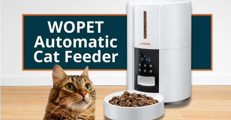 Automatic feeders for cat